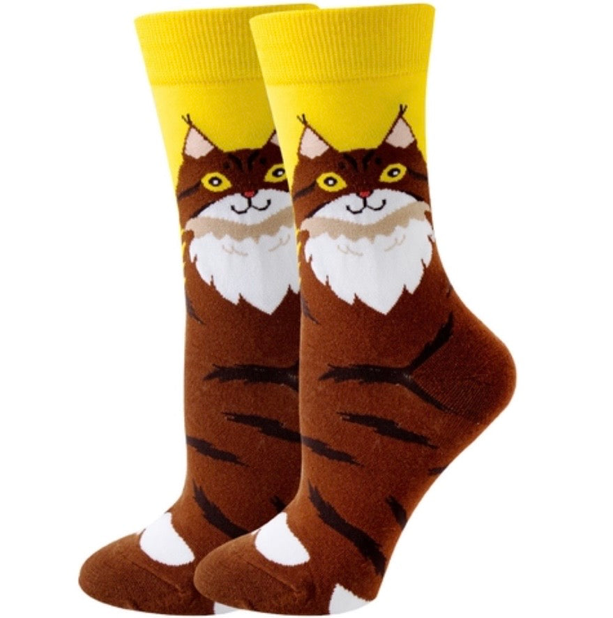 Persian Cat socks
