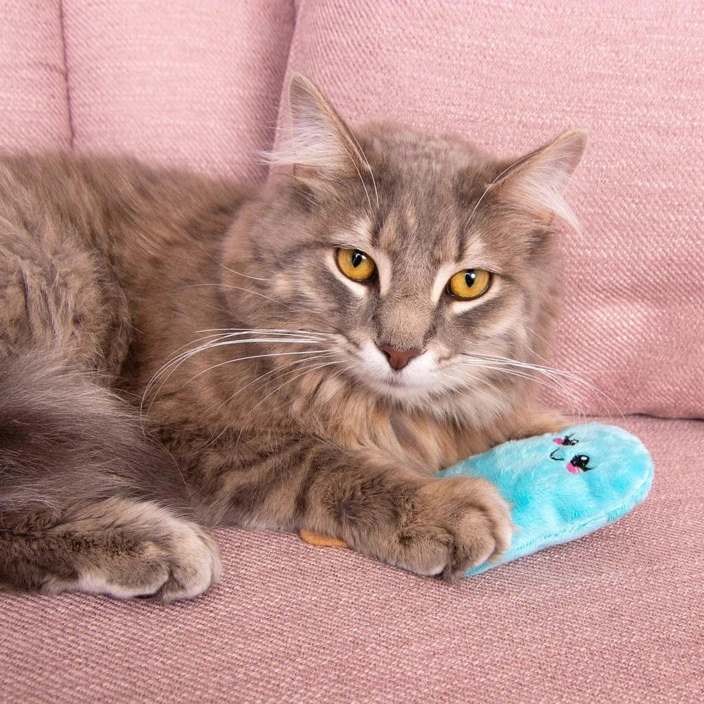 Cat lying on a pink couch with a blue popsicle toy