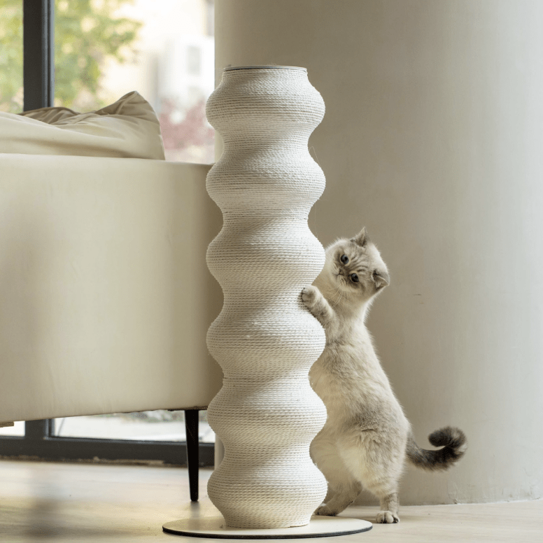 Colossal Curvy Clawer | Modern Cat Scratcher