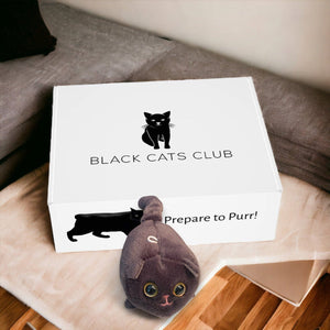 Black Cat Plushie Keychain | Black Cats Club
