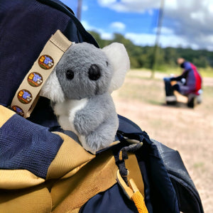 Rescue Plushies Koala Keychain