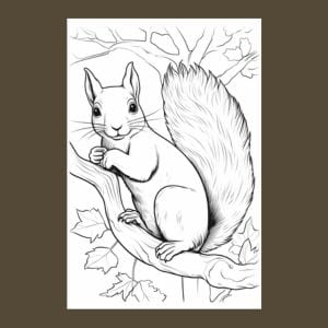 Squirrel Coloring Book for Adults