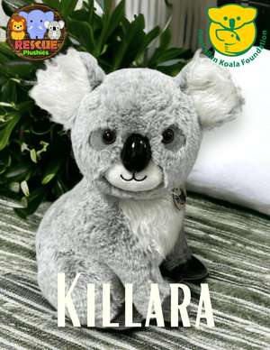Rescue Plushies Koala | Killara