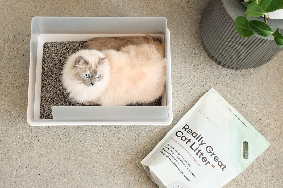 White fluffy cat sitting in tudt paw cat litter box cubby. Next to litter box is bag of litter