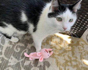 Cat Toy- Cat with jingle rabbit