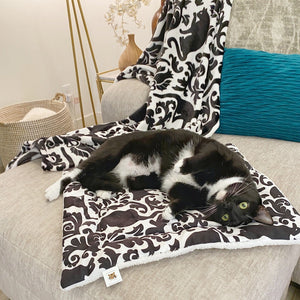 Black Cat Damask Kitty & Me