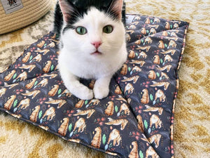 Cat on sleepy tiger cat mat