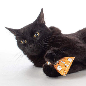 catnip pod toys with black cat.