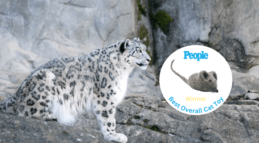 Wool Felt Mouse Cat Toy Chosen People Magazine Best Overall Cat Toy