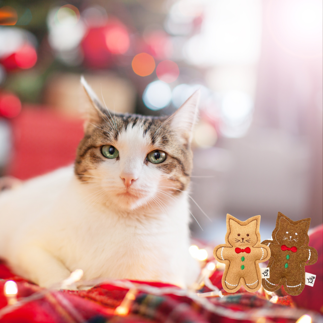 Cat sitting on a red surface with Christmas decorations and a blurred festive background