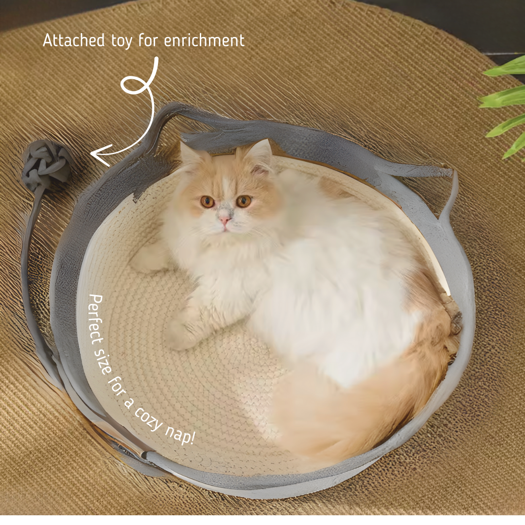 Cat Bed | Cat Ear Cotton Rope Cat Bed
