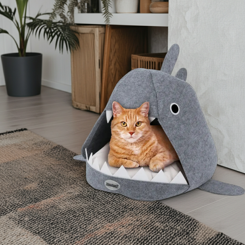 Cat inside a shark-shaped pet bed on a rug in a room with plants and furniture.