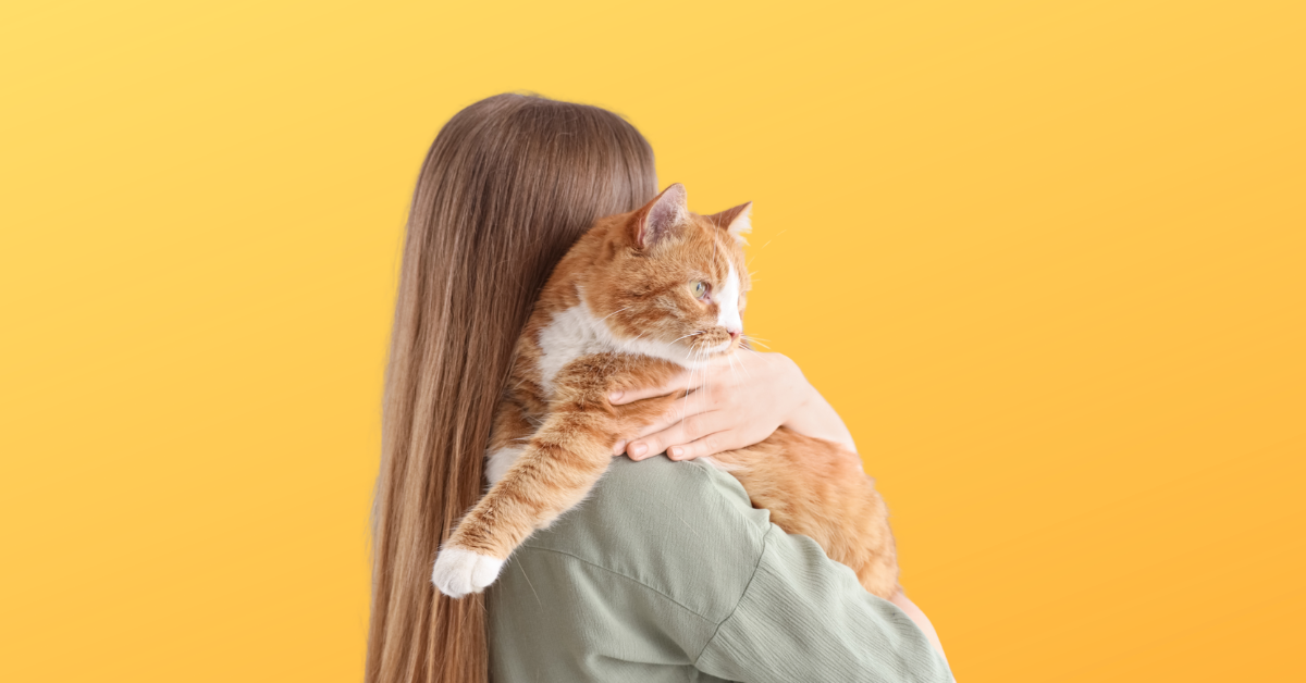 Woman holding a cat against a yellow background