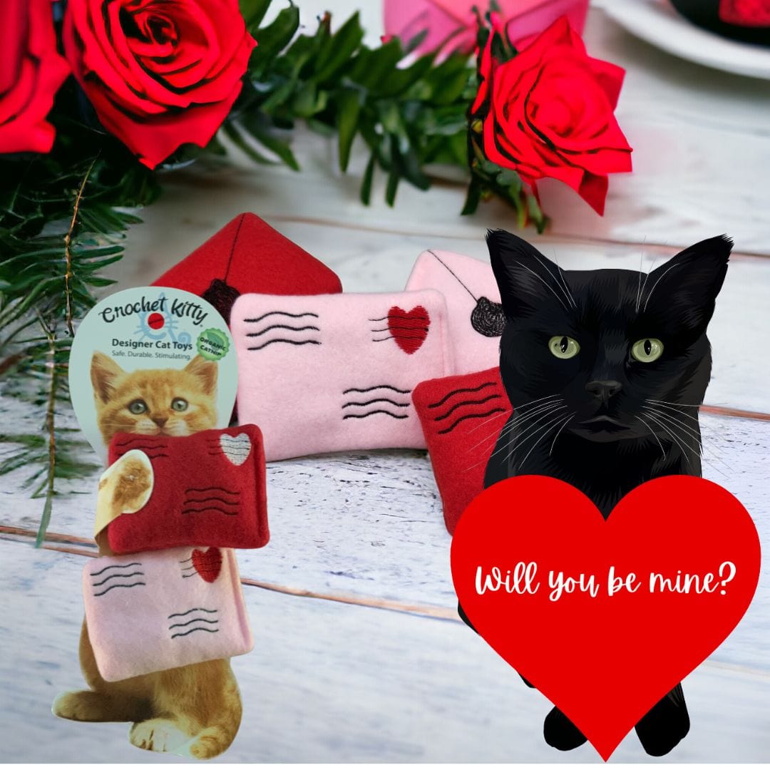 Valentine Love Letter Cat Toys | Set of Two Valentine Love Letter Cat Toys | Set of Two