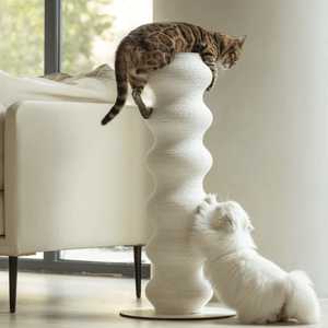 Colossal Curvy Clawer | Modern Cat Scratcher