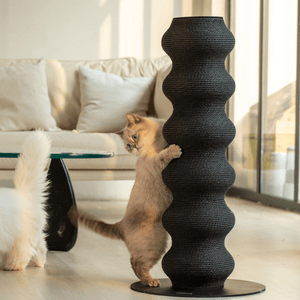 Colossal Curvy Clawer | Modern Cat Scratcher