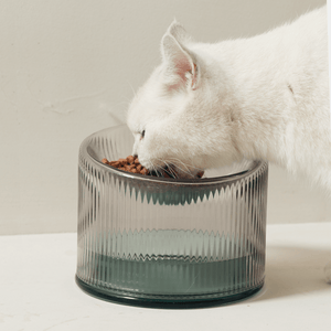 2-in-1 Elevated Glass Cat Bowl