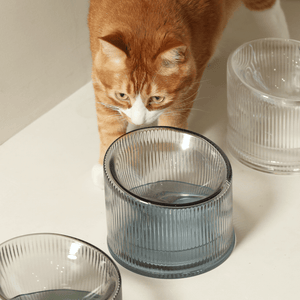 2-in-1 Elevated Glass Cat Bowl