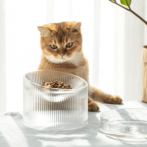 2-in-1 Elevated Glass Cat Bowl