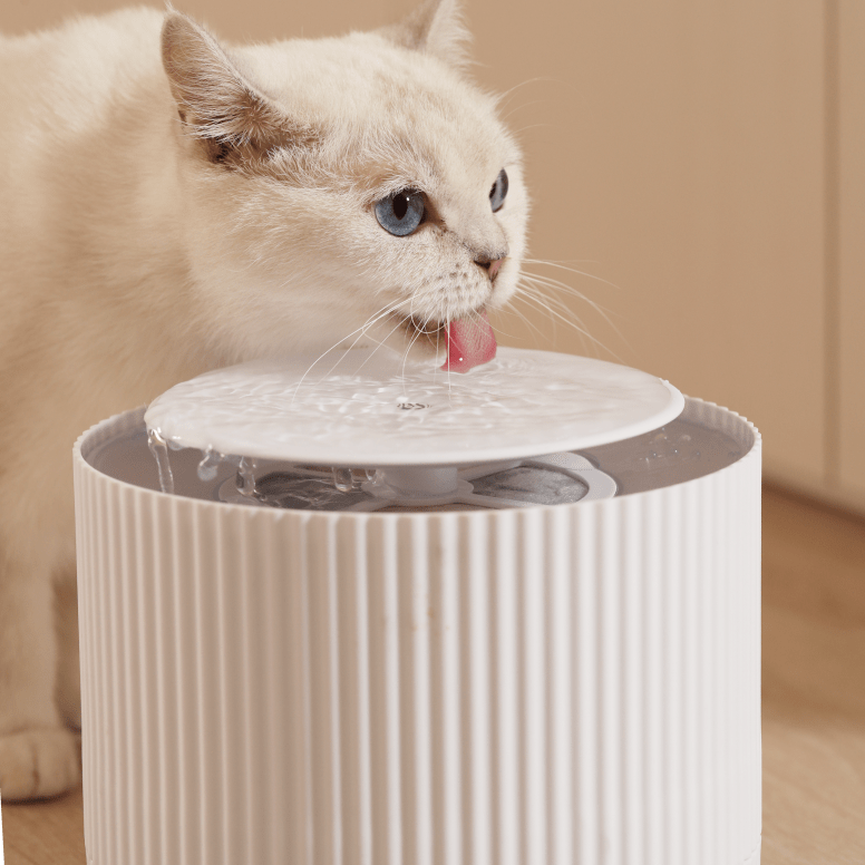 Cat water cooler best sale