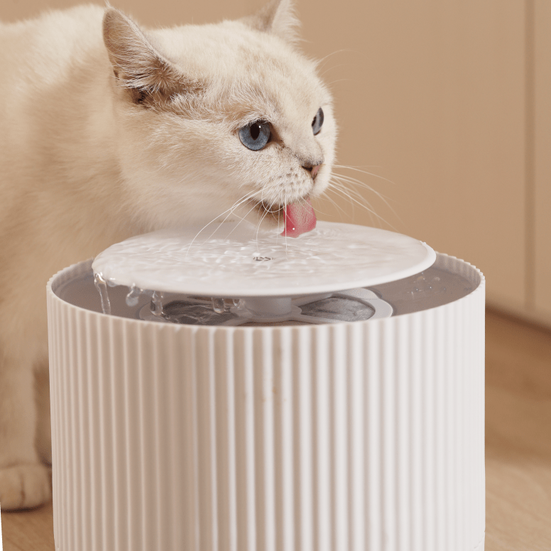 Automatic Clear Cat Water Fountain 2L
