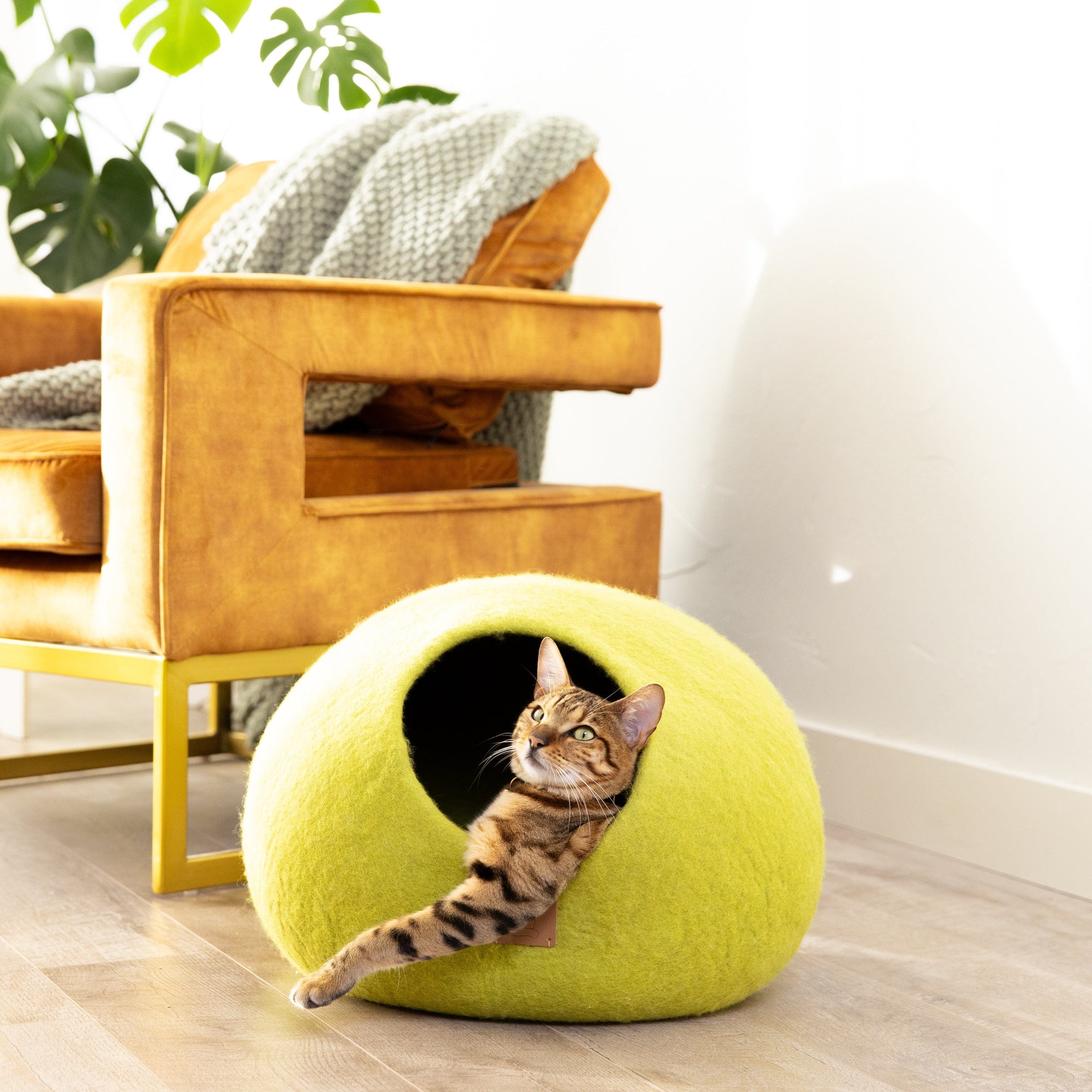 Citrus Green | Round Style Cave Cat Bed