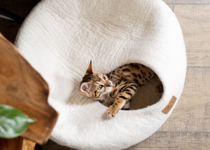 Snow White | Round Style Cave Cat Bed