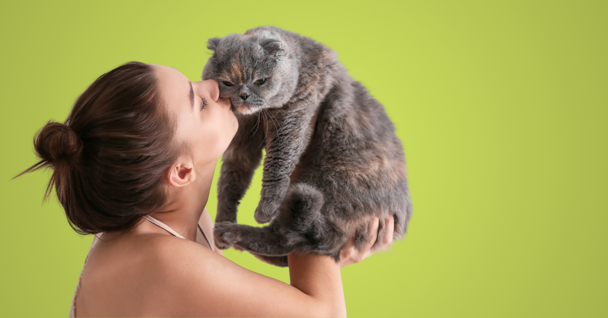 Woman holding a gray cat against a green background