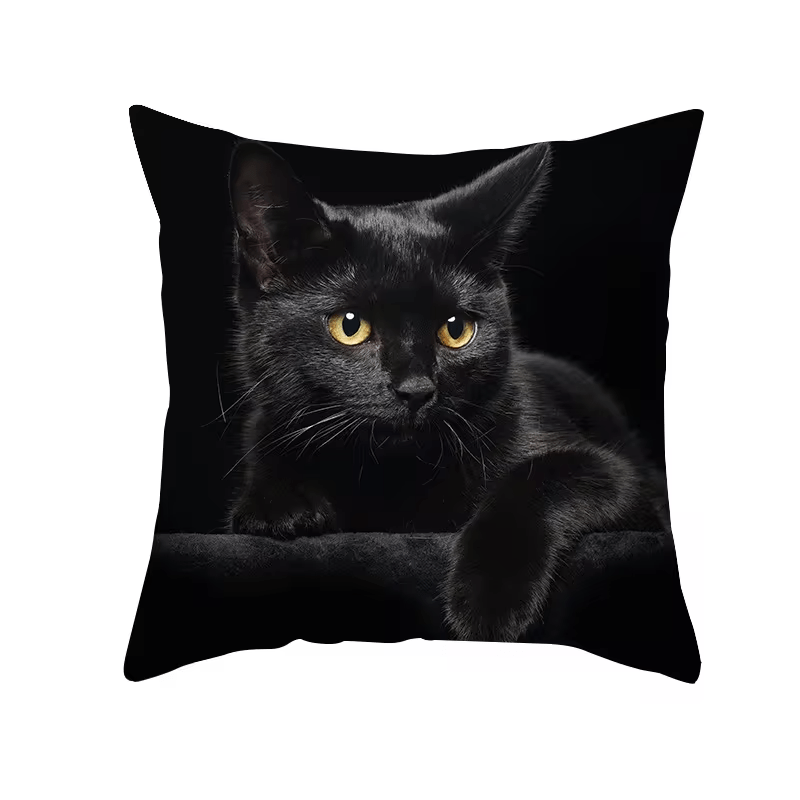 Black Cat Decorative Throw Pillow Cover | Amber Eyes