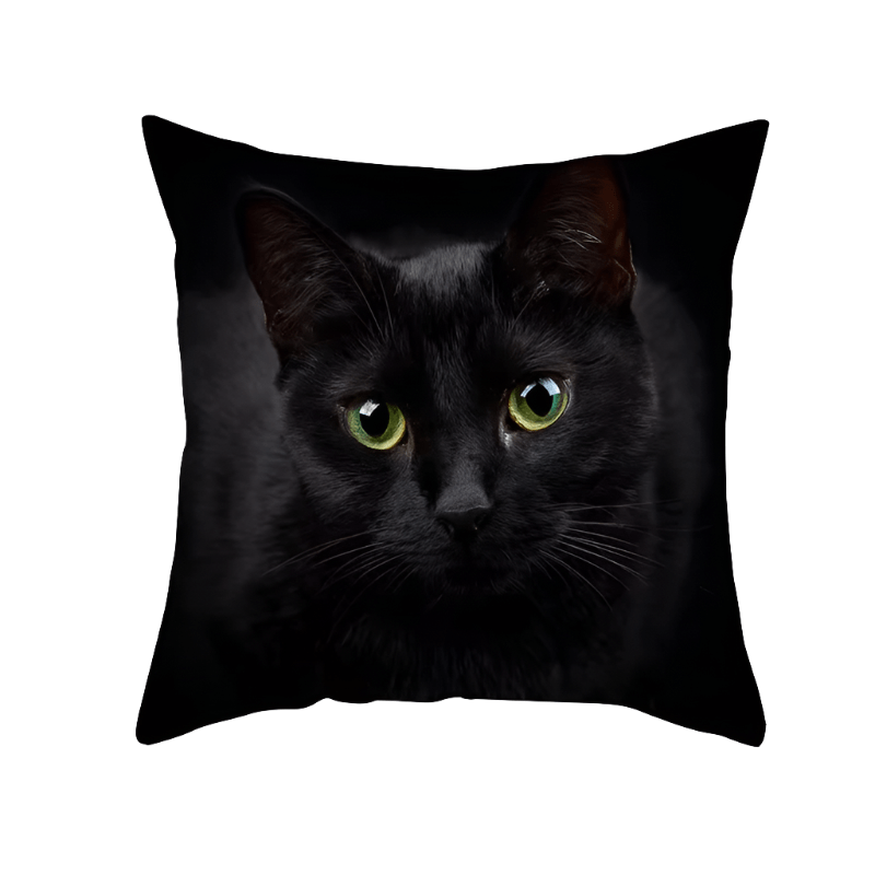 Black Cat Throw Pillow Cover Green Eyes