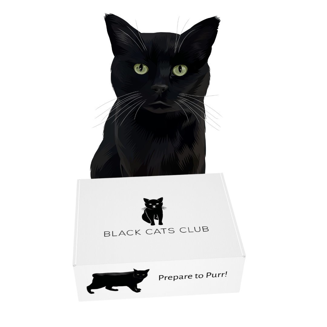 Black Cats Club