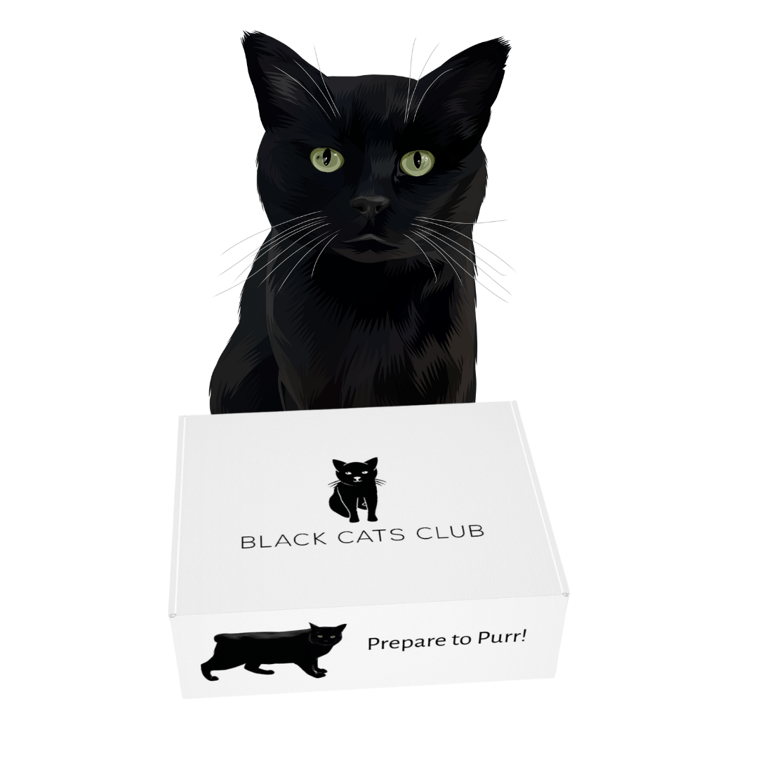 Black Cats Club Box