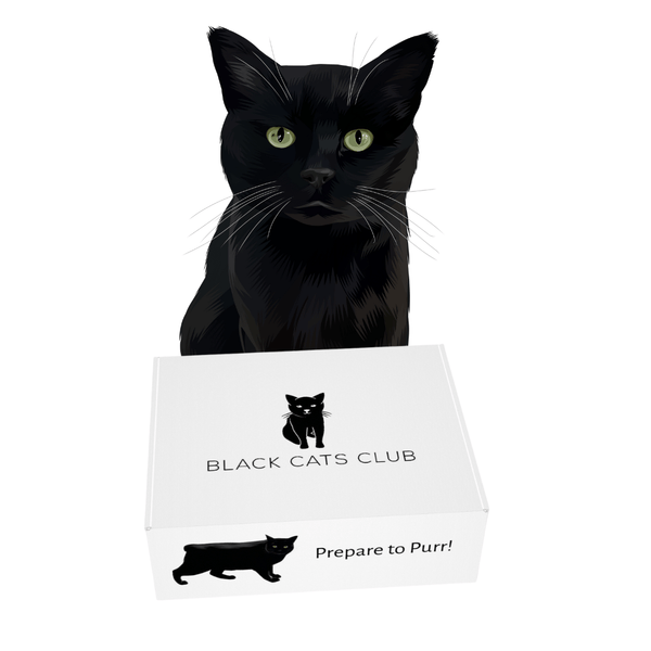 Black cat clearance box