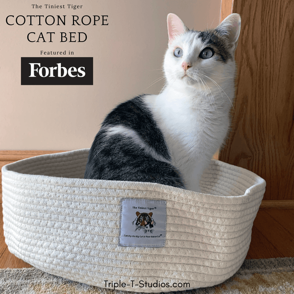 Cotton cat bed best sale