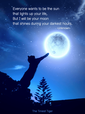 Cat Moon Quote Poster | Printable