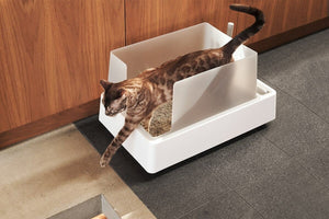 Cove Litter Box