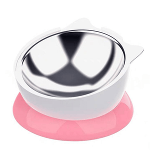 Elevated Angled Stainless Steel Cat Bowl-Pink