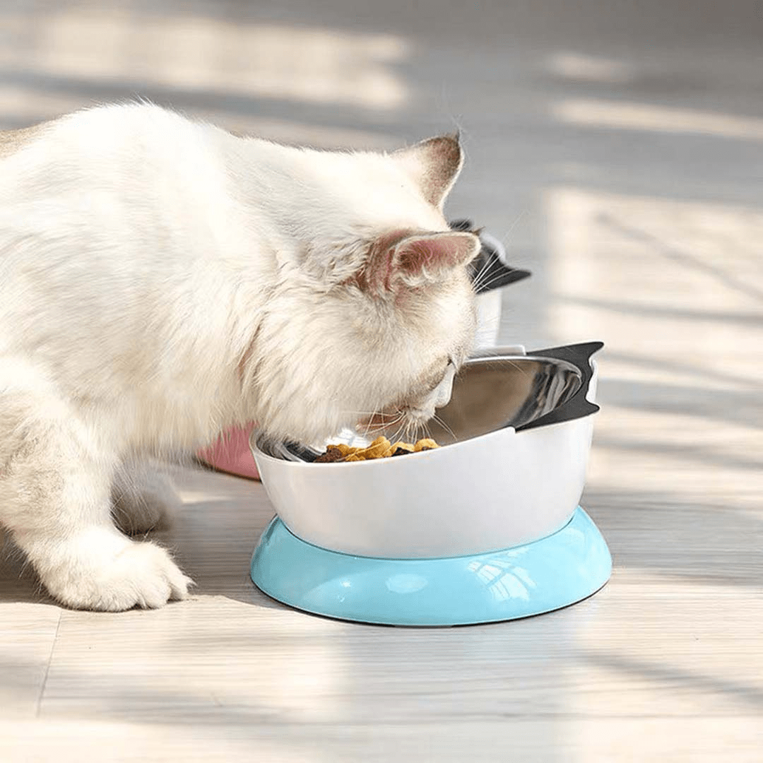 Silicone Cat Dish  The Animal Rescue Site