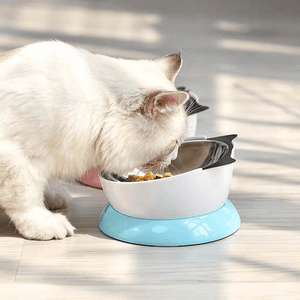 Stainless Steel Elevated Angled Cat Dish