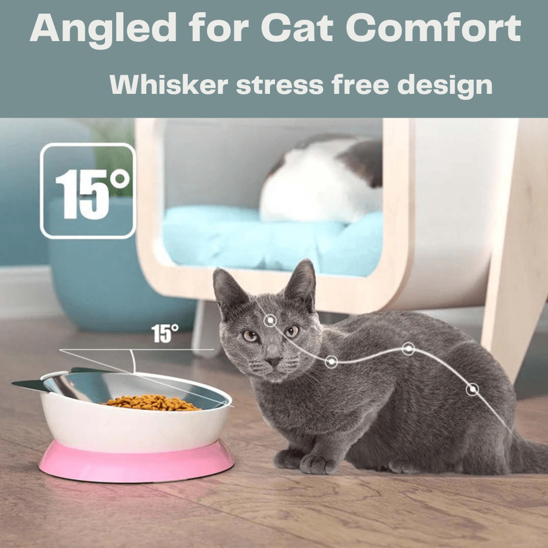 Stainless Steel Elevated Angled Cat Bowl - Triple T Studios