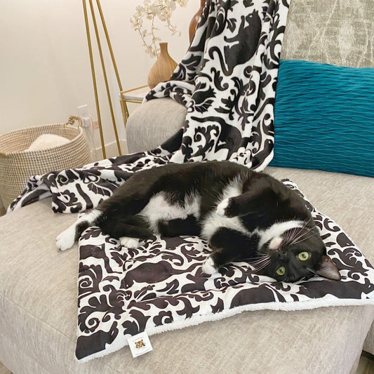 Black Cat Damask Kitty & Me