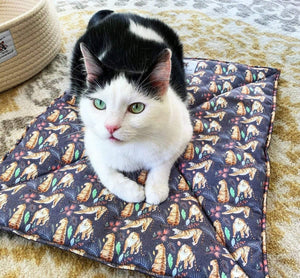sleepy tiger cat mat