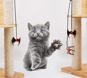 Cat Toys for Halloween