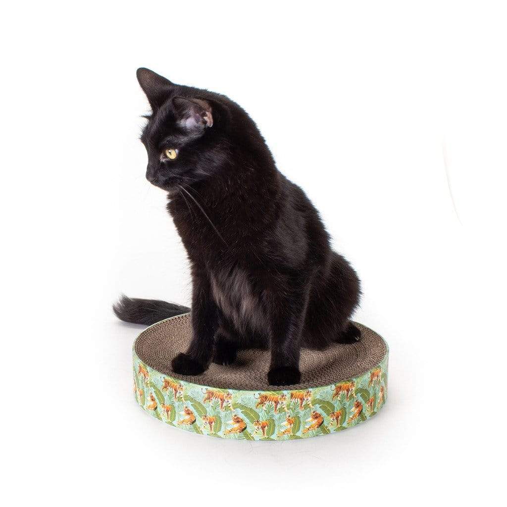 Black cat scratcher sale