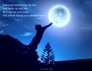 Cat Moon Quote Postcard | Printable