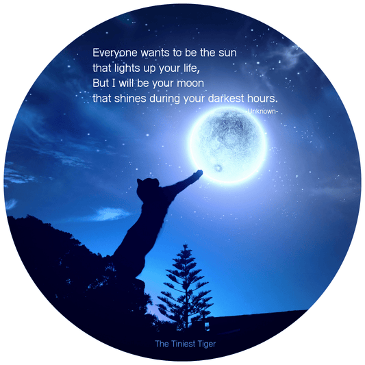 Cat Moon Quote Stickers | Printable